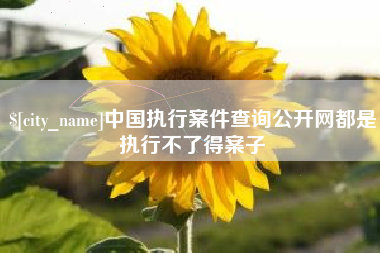 靖江中国执行案件查询公开网都是执行不了得案子