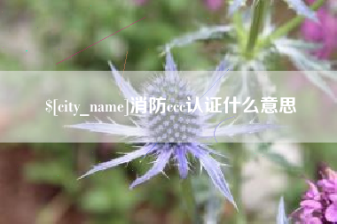 靖江消防ccc认证什么意思