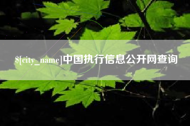 靖江中国执行信息公开网查询