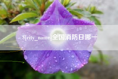 靖江全国消防日哪一