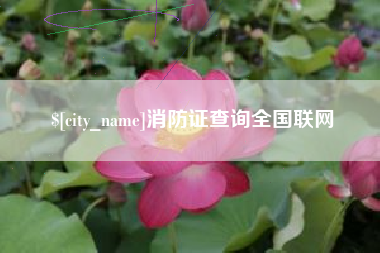 靖江消防证查询全国联网