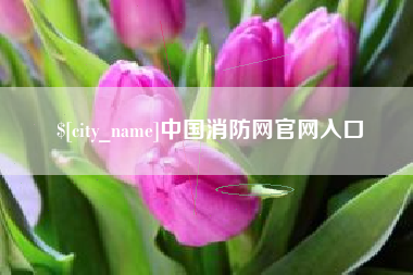 靖江中国消防网官网入口
