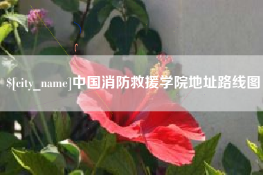 靖江中国消防救援学院地址路线图
