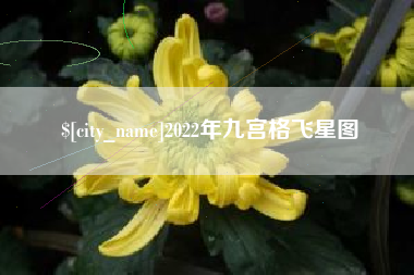 靖江2022年九宫格飞星图