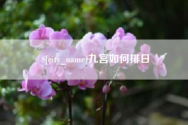 靖江九宫如何排日