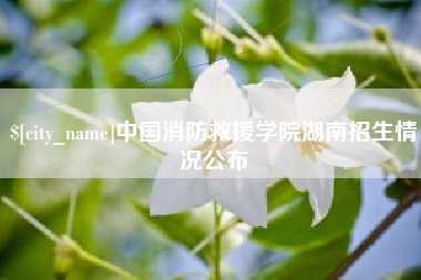 靖江中国消防救援学院湖南招生情况公布
