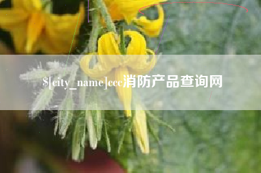 靖江ccc消防产品查询网