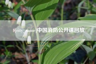 靖江中国消防公开课回放