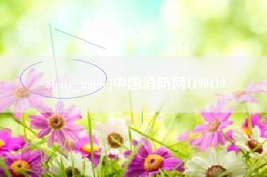 靖江中国消防网1190119