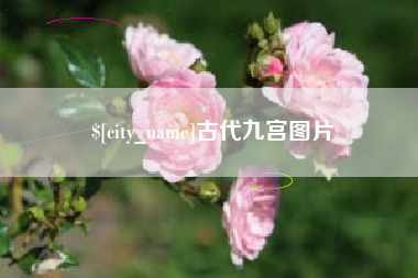 靖江古代九宫图片