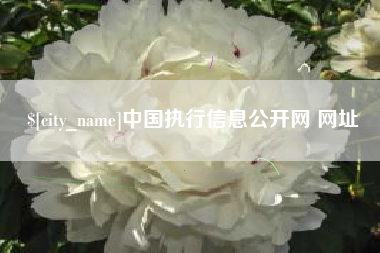 靖江中国执行信息公开网 网址