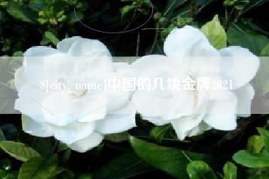 靖江中国的几块金牌2021