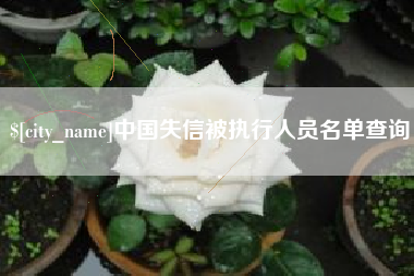 靖江中国失信被执行人员名单查询