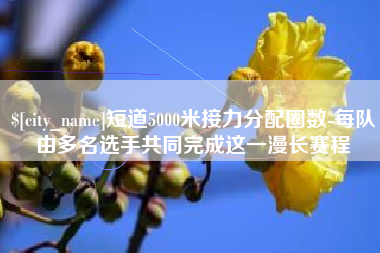 靖江短道5000米接力分配圈数-每队由多名选手共同完成这一漫长赛程