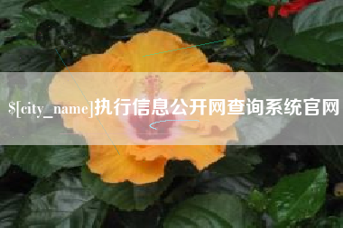 靖江执行信息公开网查询系统官网