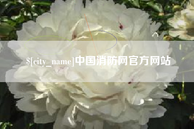 靖江中国消防网官方网站