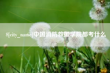 靖江中国消防救援学院都考什么