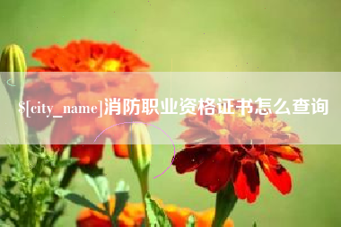 靖江消防职业资格证书怎么查询