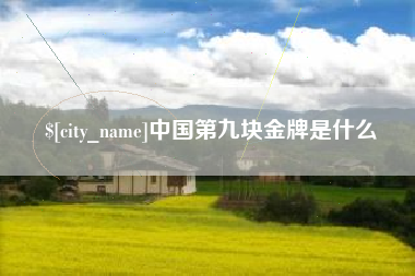 靖江中国第九块金牌是什么