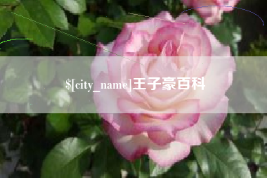 靖江王子豪百科