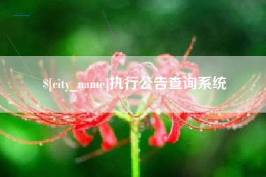 靖江执行公告查询系统