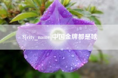 靖江中国金牌都是啥
