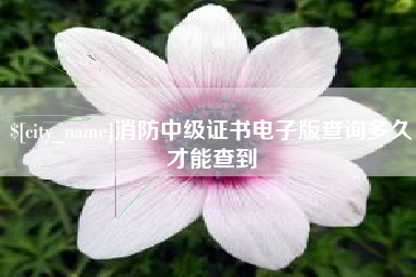 靖江消防中级证书电子版查询多久才能查到