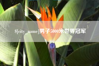 靖江男子5000米世界冠军