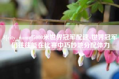 靖江5000米世界冠军配速-世界冠军们往往能在比赛中巧妙地分配体力