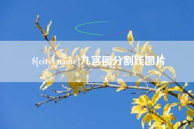 靖江九宫图分割线图片