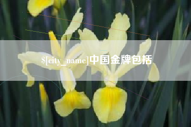 靖江中国金牌包括