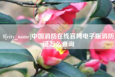 靖江中国消防在线官网电子版消防证怎么查询