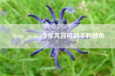 靖江今年九宫格的不利颜色