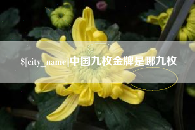 靖江中国九枚金牌是哪九枚