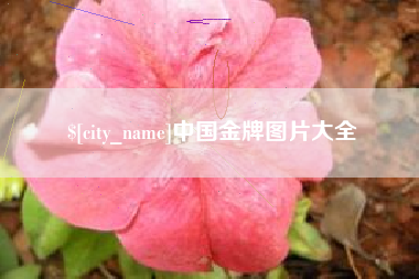 靖江中国金牌图片大全