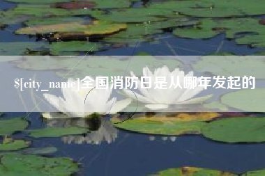 靖江全国消防日是从哪年发起的