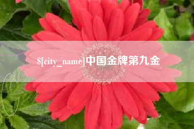 靖江中国金牌第九金