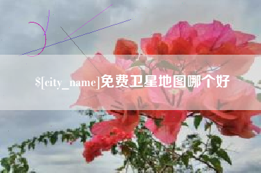 靖江免费卫星地图哪个好