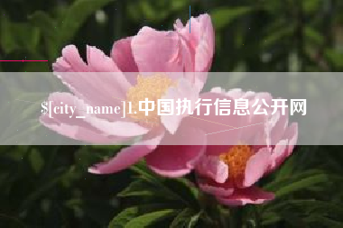 靖江1.中国执行信息公开网