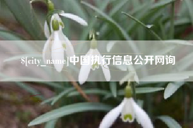 靖江中国执行信息公开网询