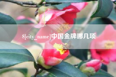 靖江中国金牌哪几项
