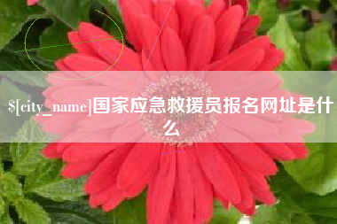 靖江国家应急救援员报名网址是什么