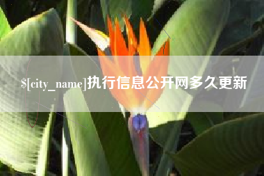 靖江执行信息公开网多久更新