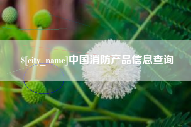 靖江中国消防产品信息查询