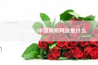 靖江中国消防网址是什么