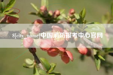 靖江中国消防报考中心官网