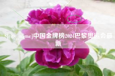 靖江中国金牌榜2024巴黎奥运会最新