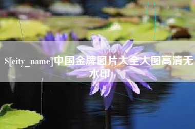 靖江中国金牌图片大全大图高清无水印