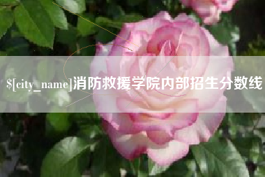 靖江消防救援学院内部招生分数线