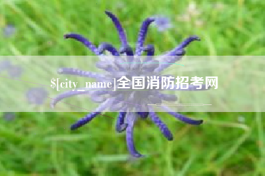 靖江全国消防招考网